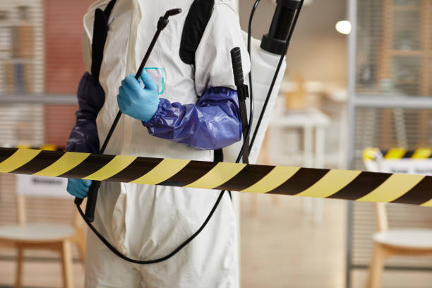Professional Sewage Cleanup technician working in Brooklyn, IN